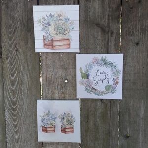 Group of 3 succulent canvas prints